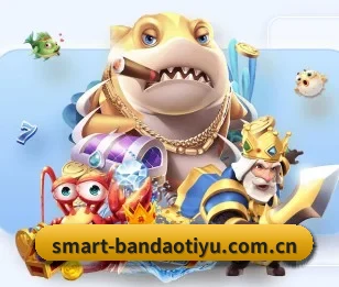 半岛体育app的故事